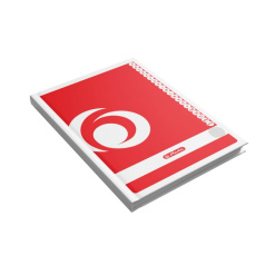 REGISTRU REPERTOAR A4 100F PATRATELE