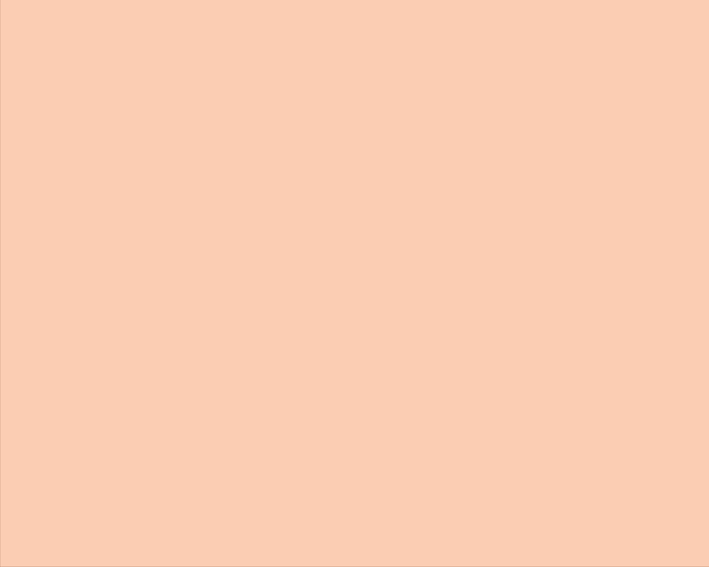 CARTON COPIATOR A4 SALMON PAL 160G 250/TOP SA24 NIVEUS - imagine 2