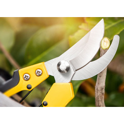 Alternative view of FOARFECA PENTRU GRADINARIT PROFESIONAL 8" DELI