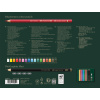 SET CADOU 17 CREIOANE COLORATE POLYCHROMOS + 4 CREIOANE GRAFIT MATT + ACCESORII FABER-CASTELL - imagine 3