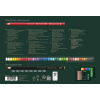 SET CADOU 40 CREIOANE COLORATE POLYCHROMOS + 8 CREIOANE GRAFIT MATT + ACCESORII FABER-CASTELL - imagine 3