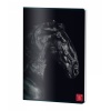 CAIET A4 60 FILE ARITMETICA COPERTA PP PIGNA - imagine 3