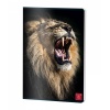 CAIET A4 60 FILE ARITMETICA COPERTA PP PIGNA - imagine 4