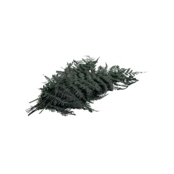 Foliage Feriga, punga 4g, Colorarte