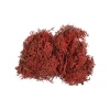 Licheni stabilizati, rosu, punga 30g, Colorarte, Q2