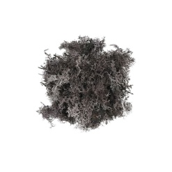 Licheni stabilizati, violet, punga 30g, Colorarte, Q2