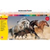 CREIOANE COLORATE 36 CULORI CUTIE METAL EBERHARD FABER
