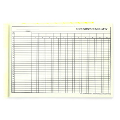 DOCUMENT CUMULATIV A4 ORIZONTAL