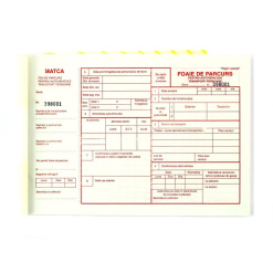 FOI PARCURS PERSOANE A4 INSERIATE