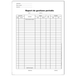 RAPORT DE GESTIUNE PERIODIC