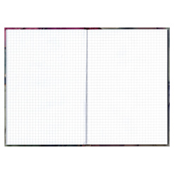 Alternative view of REGISTRU A5 96 FILE ARITMETICA DIVERSE MODELE EDUCA