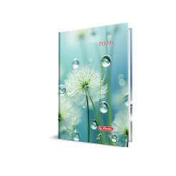AGENDA DATATA A5 352PAG COPERTA BURETATA MOTIV MACRO 2026