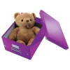 CUTIE DEPOZITARE MEDIE MOV CLICK&STORE LEITZ - imagine 4