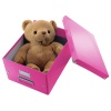 CUTIE DEPOZITARE MEDIE ROZ CLICK&STORE LEITZ - imagine 4