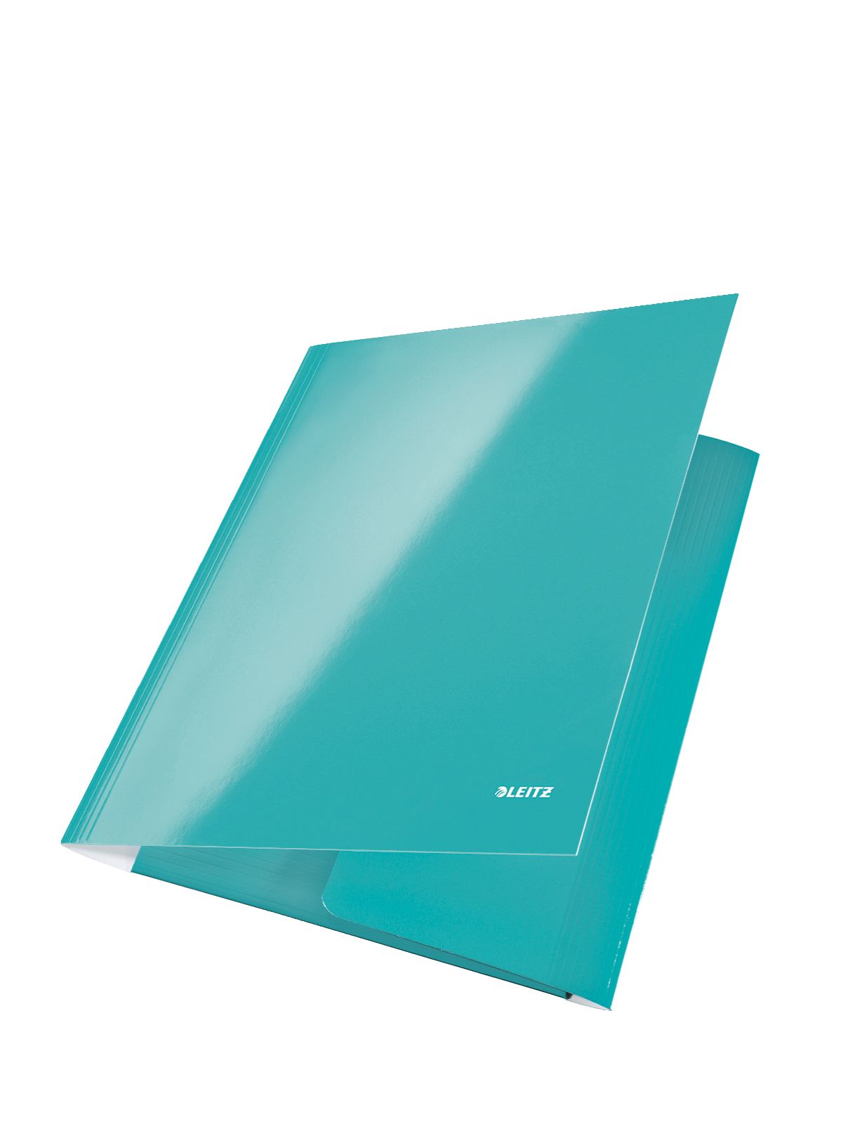 MAPA CARTON CU ELASTIC TURCOAZ METALIZAT WOW LEITZ - imagine 3