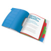 MAPA PLASTIC CU ELASTIC 6 COMPARTIMENTE VIVIDA ESSELTE - imagine 2