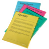 MAPA PROTECTIE A4 TIP L ROSIE 105 MICRONI 25/SET ESSELTE - imagine 2