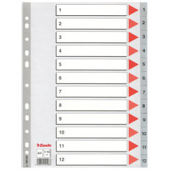 SEPARATOARE INDEX PLASTIC 1-12 ESSELTE