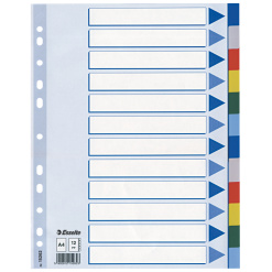 SEPARATOARE INDEX PLASTIC 12 CULORI ESSELTE