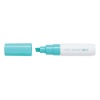Marker cu vopsea Pilot Pintor Metallic B culori metalizate 8 mm varf tesit verde
