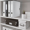 BIBLIORAFT PLASTIFIAT 6.5CM 180GRADE ALB ACTIVE WOW LEITZ - imagine 3