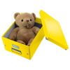 CUTIE DEPOZITARE MEDIE GALBENA CLICK&STORE LEITZ - imagine 4