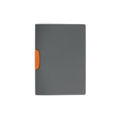 Dosar plastic Durable Duraswing