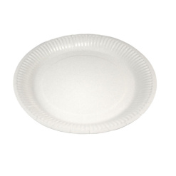 FARFURII CARTON ALBE 23CM 50/SET