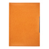 Agenda lux B5 orange