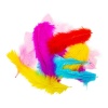 Accesorii creatie - pene, 12-18cm, set 10 buc, Colorarte - imagine 2