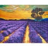 Kit mozaic cu pietre acrilice pe canvas lavanda 40 x 50cm