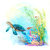 CREIOANE COLORATE AQUARELLE 24 CULORI GOLDFABER TROPICAL COLLECTION FABER-CASTELL - imagine 3