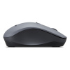 MOUSE USB OPTICAL WRL WL310/GY51Q65621 LENOVO "GY51Q65621" (timbru verde 0.18 lei) - imagine 2