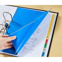 Alternative view of SEPARATOARE INDEX PLASTIC IAN-DEC DELI