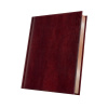 AGENDA DATATA A5 352PAG PREMIUM DELUXE NARNI COPERTA PIELE SINTETICA MARO FOLIO BRONZ 2027