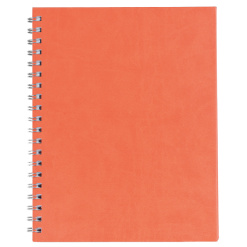 AGENDA A4 NEDATATA PORTOCALIE PREMIER EGO